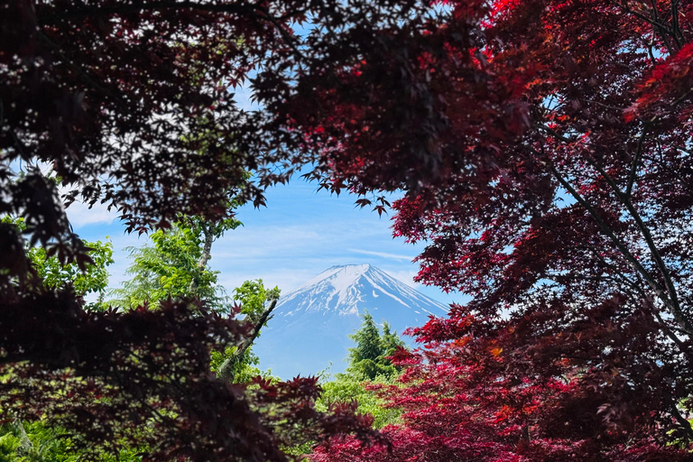Tokyo: Private Daytrip to Mount Fuji - Fully Customizable Mt Fuji Private Luxury Van Tour (Customizable Experience)