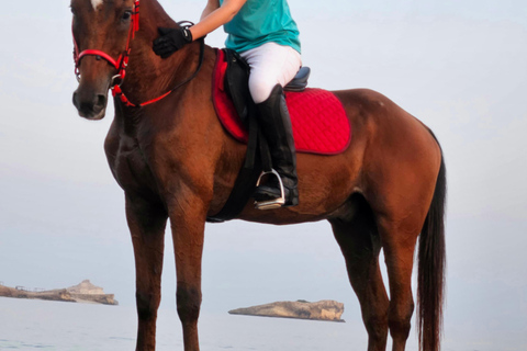 Reiten im Oman