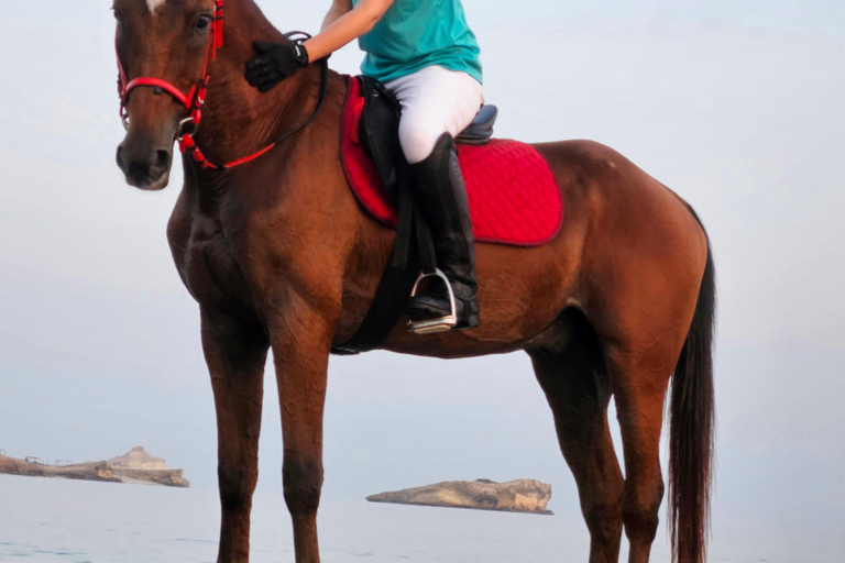 Reiten im Oman