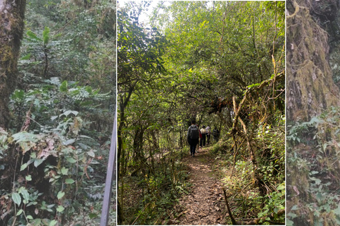 Kathmandu: 2-Day Chisapani and Nagarkot Hiking Tour