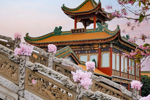 Guangzhou Day Trip: Shawan Town, Baomo Garden & Local Market Guide for other languages