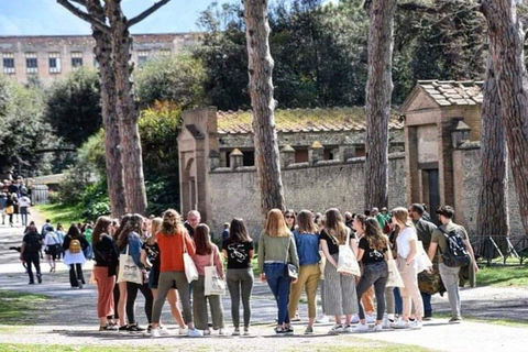 Pompei e Sorrento privato con guida e trasferimento