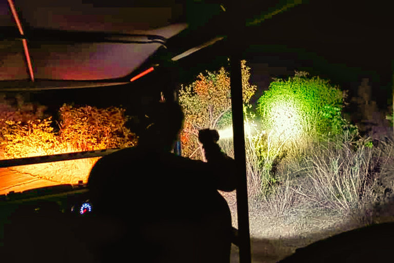 Victoriafälle: Stargazing Safari im Busch mit 4x4