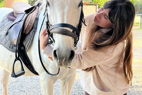 Certosa di Calci: Horseback Riding Experience for Beginners in Nature Horseback ride with aperitif