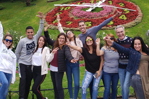 From Santiago: VIP Tour to Valparaiso, Viña del Mar, Wine, and Moai