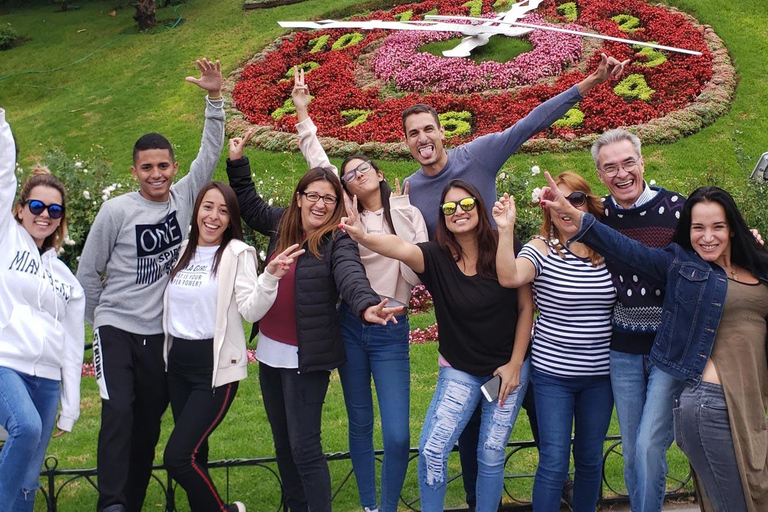 From Santiago: VIP Tour to Valparaiso, Viña del Mar, Wine, and Moai