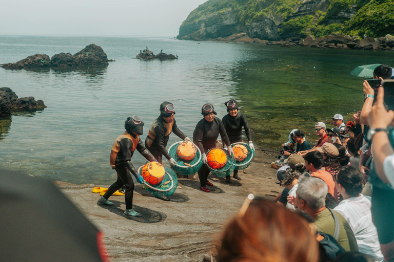Jeju East: Cherry Blossom Tour & Women Divers Show
