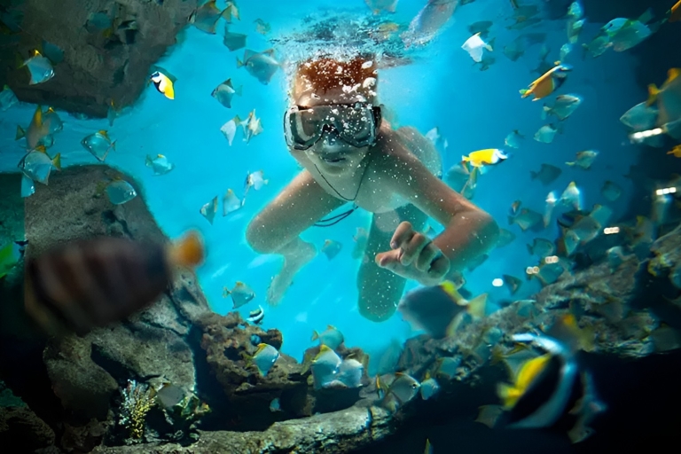 Całodniowy snorkeling na wyspie Catalina + lunch z Punta CanaOdbiór z hoteli i obiektów Airbnb w Uvero Alto