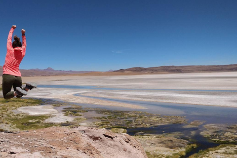 La Paz: Tour durch das Mondtal und das Tal des TodesLa Paz: Tour zum Mondtal und Tal des Todes