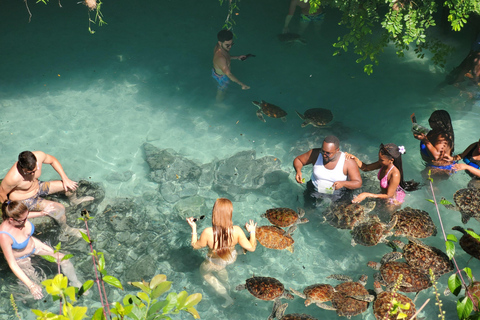Zanzibar: Jozani forest, Butterfly center & Salaam cave tour Tour with Hotel pick up and drop off included