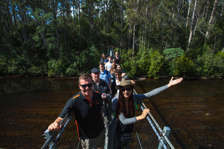 Hobart: Tour de un día completo por el paseo aéreo de Tahune y las cuevas de HastingsDesde Hobart: Paseo aéreo de un día por Tahune y excursión a las cuevas de Hastings