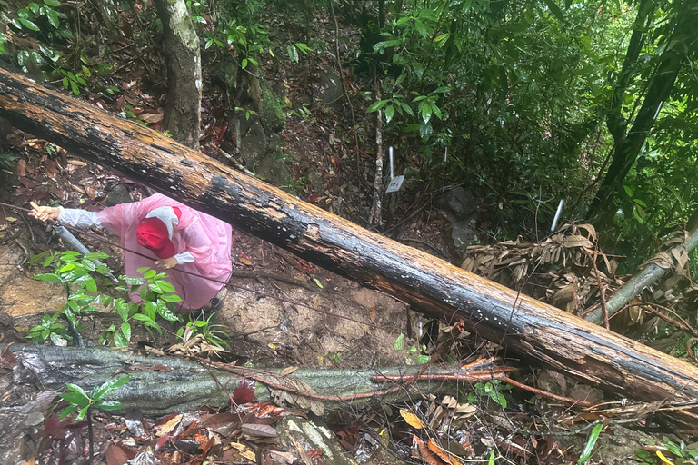 Kedah: Magnificent Jerai Multi Waterfalls Hunt & Jungle Trek Hippo: Challenging Canyon Loop (8km | 10 falls)