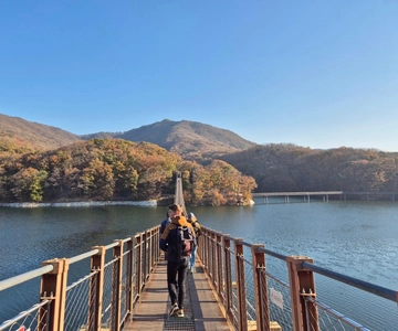 Seoul: DMZ Tour (Optional Gamaksan/Majang Suspension Bridge)