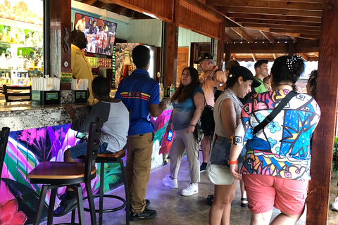 鲍勃·马利九英里之旅（从蒙特哥贝和法尔茅斯出发）鲍勃·马利9英里之旅（从蒙特哥贝和法尔茅斯出发）