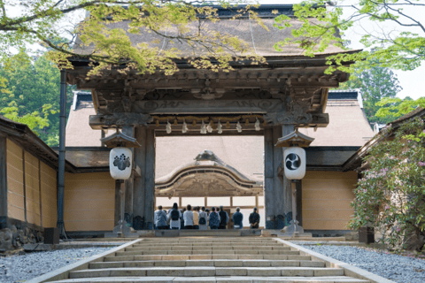 Från Osaka/Kyoto: Mount Koya &amp; Wakayama TourMed Nachi vattenfall