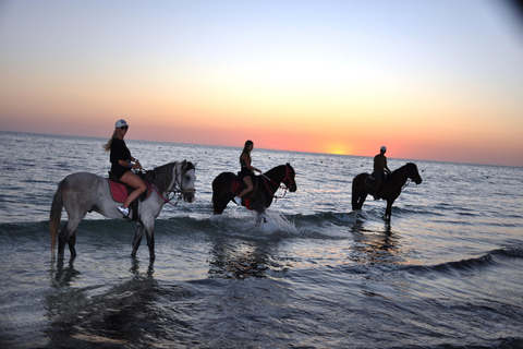 DJERBA: Passeio a cavalo particular (2h).