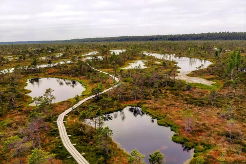 Paisajes de Letonia: Kemeri y Jurmala Tour guiado