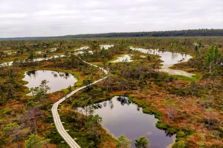 Kemeri National Park Guided Tour