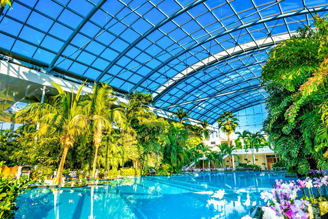 Therme Bucharest Wellness & Spa with Transfer & Entry Ticket