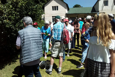 De Nairobi: Visita à Quinta de Chá Kiambethu e almoço