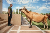 Organic, Biodynamic, and Experimental Adventure in Mendoza - Housity