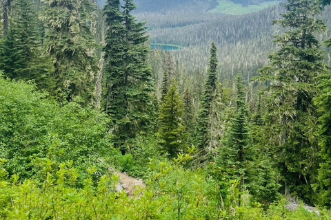 فانكوفر: رحلة مشي لمسافات طويلة إلى حديقة بحيرات جوفري ورحلة نهارية إلى ويسلر