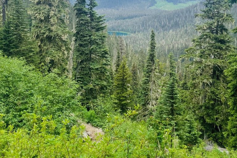 فانكوفر: رحلة مشي لمسافات طويلة إلى حديقة بحيرات جوفري ورحلة نهارية إلى ويسلر