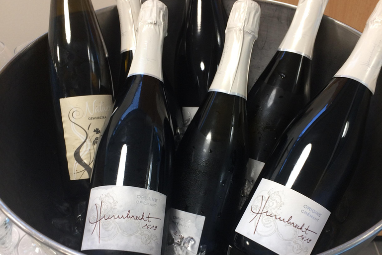 Gueberschwihr: kurs i enologi och provsmakning av 12 viner och 5 tilltuggGueberschwihr: vinprovningskurs med provning av 12 viner och 5 smårätter