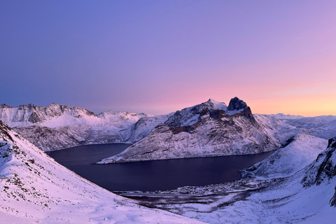 From Tromsø: Discover Senja Island with Local Guide From Tromsø: Privately Discover Senja with Local Guide