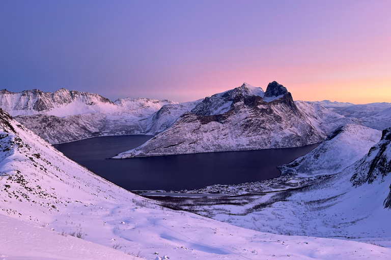 From Tromsø: Discover Senja Island with Local Guide From Tromsø: Privately Discover Senja with Local Guide