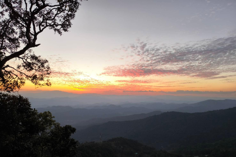 Chiang Mai Sunset Point,Wat Pha Lat,Wat Doi Suthep,Wat Umong