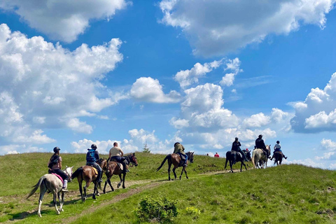 Muscel: The Hidden Trails: Full-Day Horseback Exploration