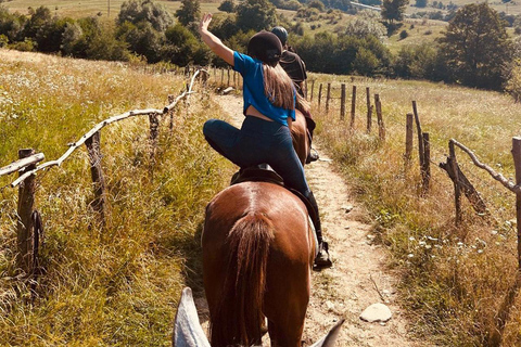 Muscel: The Hidden Trails: Full-Day Horseback Exploration