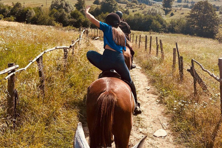 Muscel: The Hidden Trails: Full-Day Horseback Exploration