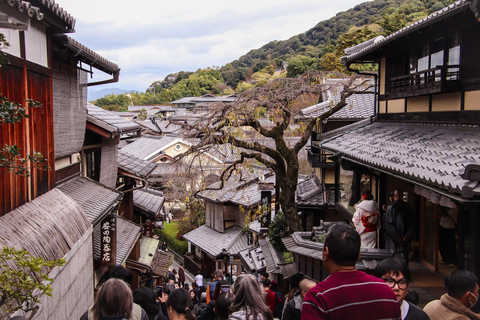 Tokyo: 8-Day Tour with Fuji, Kyoto, Nara, Hiroshima & Osaka Day 8 - Osaka Highlights (Spanish)