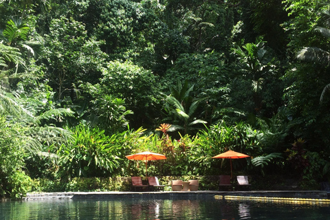 Laguna:Excursión de un día a Hidden Valley Springs con almuerzo desde MANILA