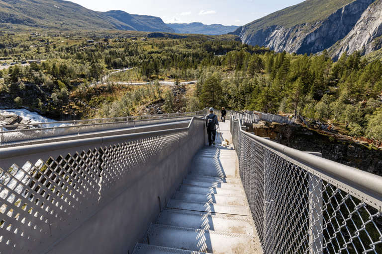 Oslo: Tren y tour en autobús a Bergen vía Hardangervidda/Fiordo