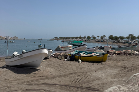 From Muscat: East Coast Heritage Tour with Lunch Private East Coast Heritage Tour with Lunch