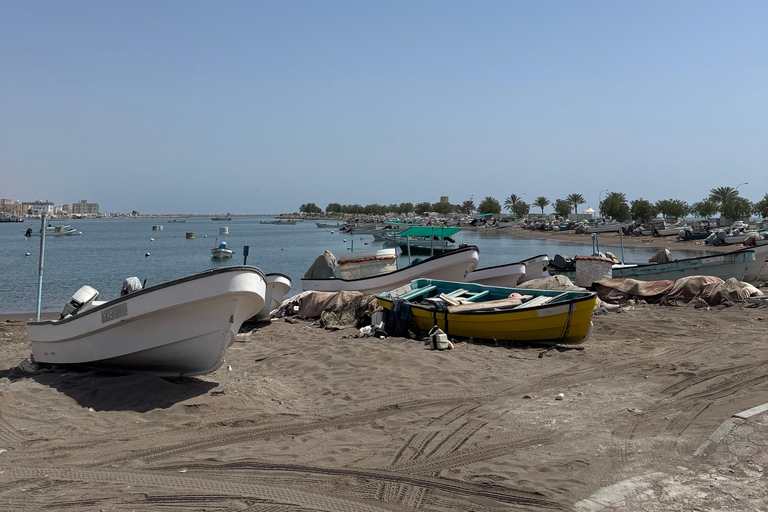 From Muscat: East Coast Heritage Tour with Lunch Private East Coast Heritage Tour with Lunch