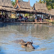 Suphanburi & Kanchanaburi Private Day Trip with Lunch