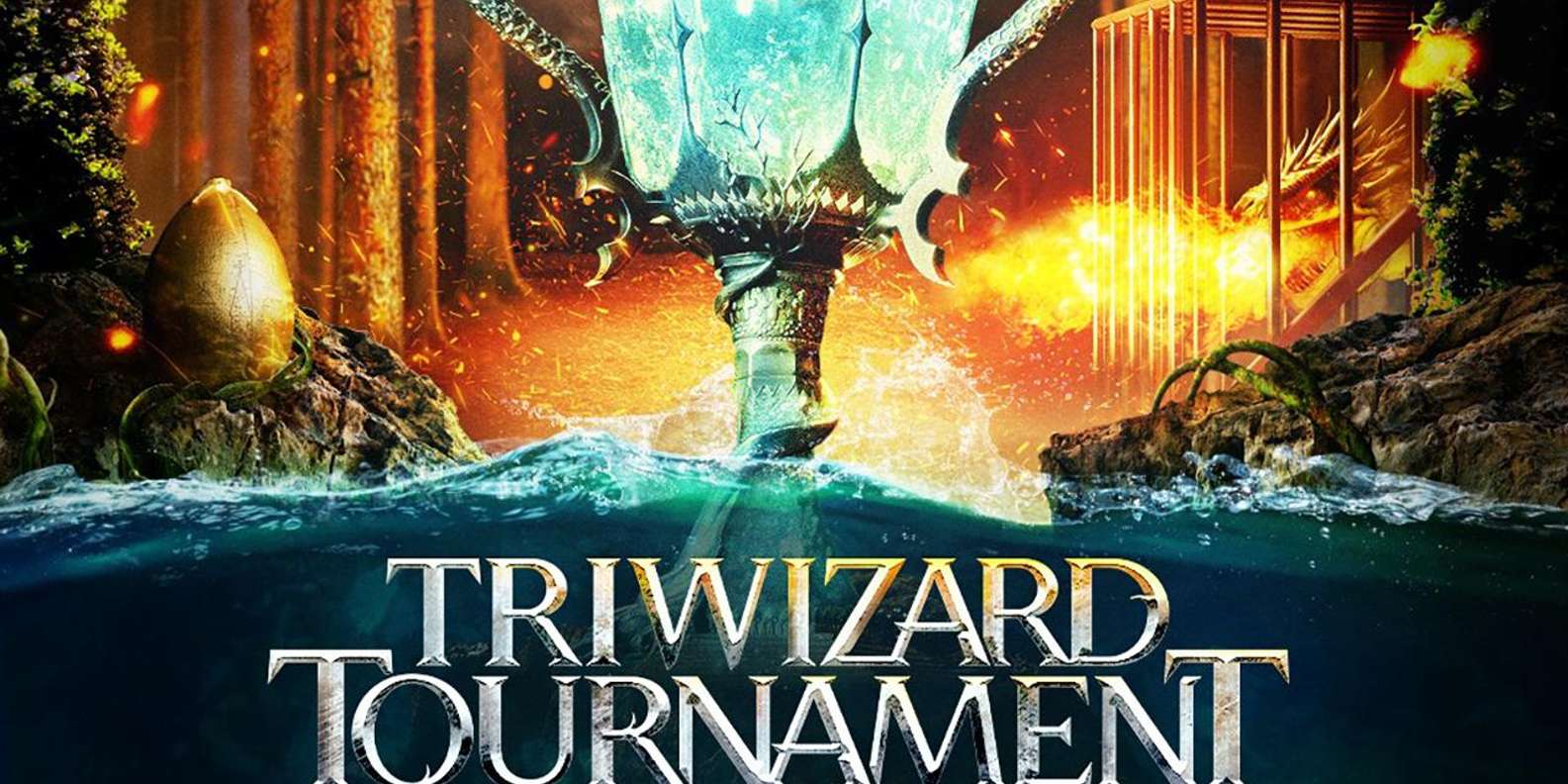 Studio Tour with Return Transportation