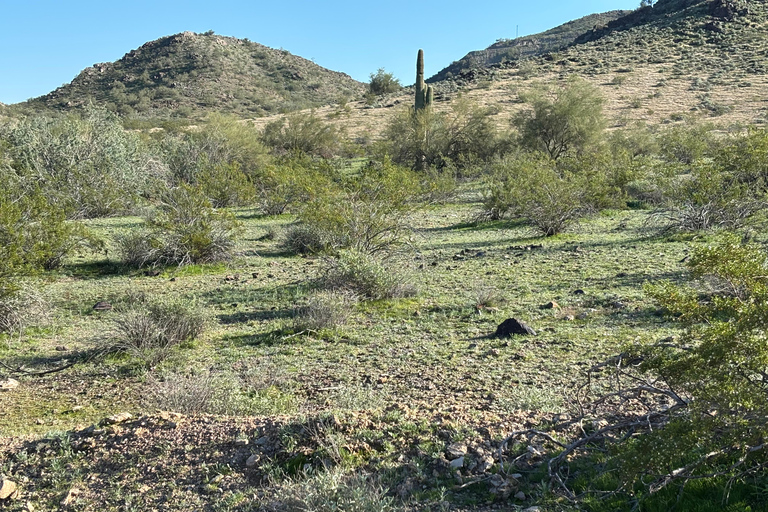 Phoenix: Guided Mountain Bike Adventure in Sonoran Desert 2-hour analog experience (Norco, Forbidden or Santa Cruz)