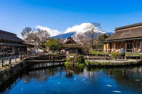 Tokyo: Mt. Fuji & Hakone One-Day Private Customizable Tour