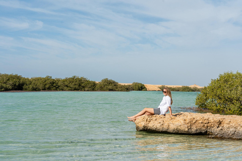 Sharm El Sheikh: Ras Mohamed Park Snorkel & Magic Lake Tour Shared Tour