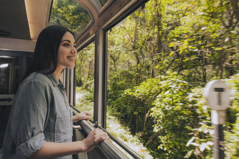 Von Cusco aus: Machu Picchu EintagestourEin-Tages-Tour nach Machu Picchu von Cusco aus, Vistadome Zug