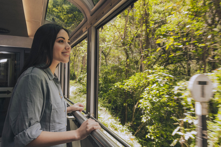 Von Cusco aus: Machu Picchu EintagestourEin-Tages-Tour nach Machu Picchu von Cusco aus, Vistadome Zug