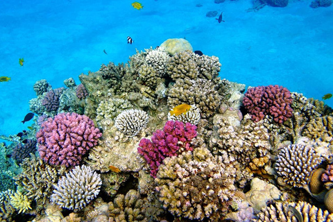 Zanzibar: laguna blu, ristorante sulla roccia, grotta e spiaggia