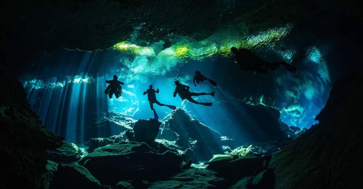 Playa del Carmen: Carmen Carmen: Cenote Diving for Certified Divers ...