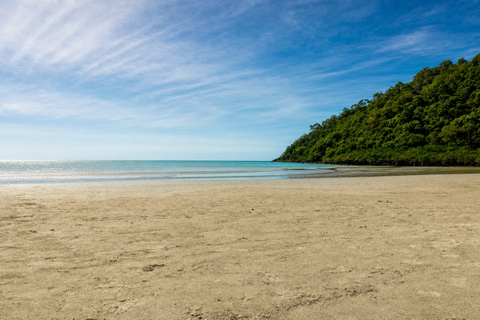 Cairns: Full Day Cape Tribulation Day Tour with Guide Cairns: Cape Tribulation Day Tour with Lunch