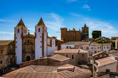 Cáceres Monumental Tour: Your First Introduction to Cáceres Monuments of Cáceres Tour: Your First Glimpse of Cáceres in English